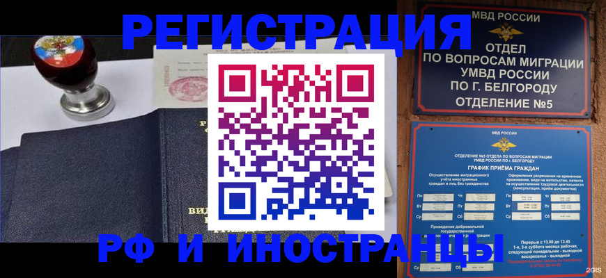 временная регистрация поиск в Звенигово